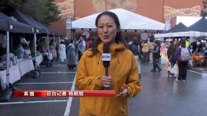 多国举行庆中秋活动 感受中华文化魅力