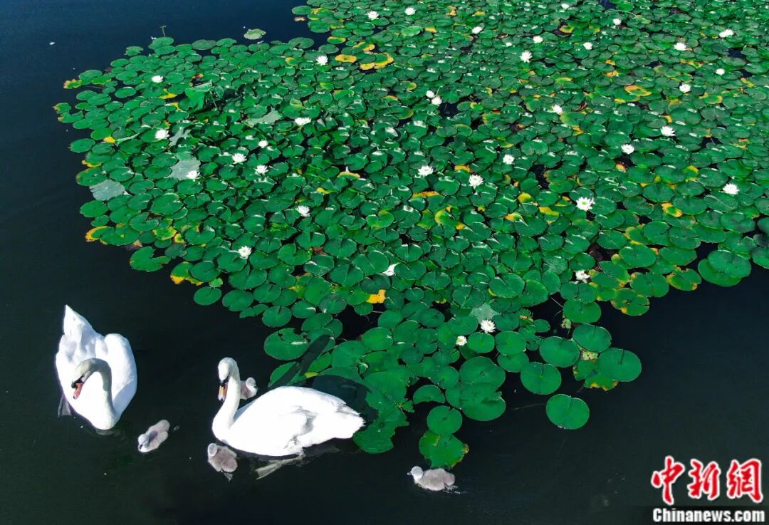 吉林大学,太宝藏了吧!